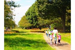 夢占い・夢診断│遠足の夢は何を暗示している？