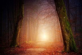 占いコラム│ゾディアック・マン～12星座と身体の照応③