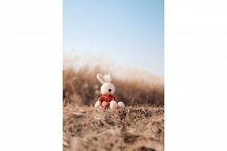 夢占い・夢診断│紛失する夢は何を暗示している？