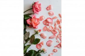 復縁占い│涙の復縁占い◆復活愛を望むあなたがこんなにも忘れられない本当の理由