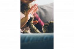 夢占い・夢診断│触る夢は何を暗示している？