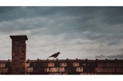 夢占い・夢診断│煙突の夢は何を暗示している？