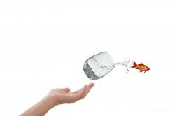 夢占い・夢診断│空を飛ぶ夢は何を意味している？