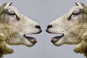 占いコラム│【出ました、運命数1の教え】～ふたりの恋が始まる日をお教えします～