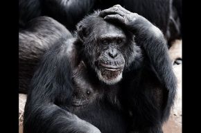 占いコラム│【運命数7の指南書】周囲が決める！　あなたの本当の評価とは？