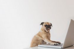 仕事占い│今のあなた……職場でどんな評価を受けている？