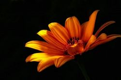 姓名判断│【恋する姓名判断】二人の関係が変わるチャンスかも…逃さないで！