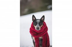 夢占い・夢診断│寒い夢は何を暗示している？