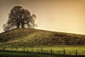 占いコラム│山羊座のあなたが抱える「孤独と不安」を「幸せと安心」に変える方法