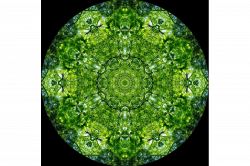 夢占い・夢診断│万華鏡の夢は何を暗示している？