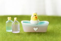 夢占い・夢診断│シャンプーの夢は何を暗示している？