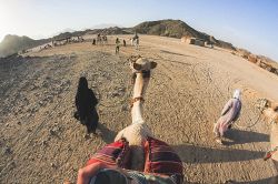 夢占い・夢診断│見学の夢は何を暗示している？ | シンボルの意味