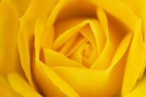 人生占い│あなたは周囲の人から、どのような人物だと思われているか