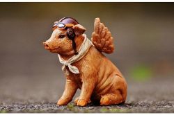 人生占い│人生が180度変わる!? 1年以内に出会います！ あなたの人生を導く人物