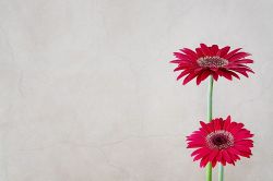 片思い占い│チャンスあり？　片想いのあの人、あなたを異性として意識している？
