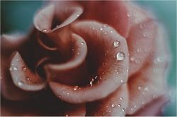 誕生日占い│恋を休んでどのくらい？こんな私に結婚相手は現れる？運命の誕生日占い