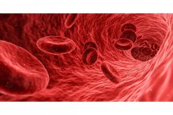 夢占い・夢診断│血の夢は何を暗示している？