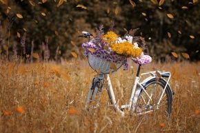 恋愛占い│連続恋愛占《最終回》あなたとあの人、最終的にどんな関係になる？