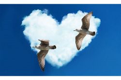 恋愛占い│【※決定済み※】あの人が伝えたい結論とは？この恋愛の衝撃ラスト