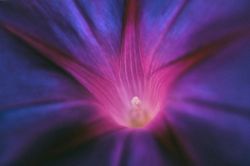 恋愛占い│『少しは気にしている？』今、あの人の心をあなたはどれくらい占めている？