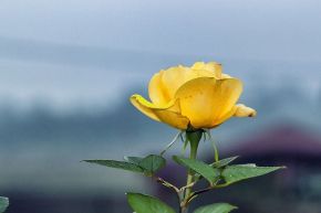 占いコラム│要チェキ！次の出会いの全貌～時期・相手・状況～【土】属性のあなた