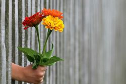 恋愛占い│《ずっとあなたを好きだった》その人があなたに本気で恋心を抱いたのはいつ？