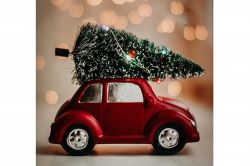 タロット占い│今年こそラブラブに過ごすイブの夜～まだ間に合う短期間大決戦◆恋愛タロット占い