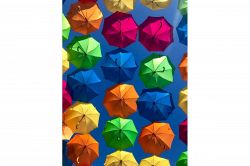 夢占い・夢診断│色の夢は何を暗示している？