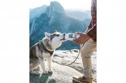 夢占い・夢診断│冒険の夢は何を暗示している？