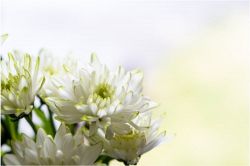 姓名判断│【16項目◆恋愛SP鑑定】片思い中のあの人の気持ち、全て教えます！