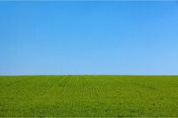 夢占い・夢診断│芝生の夢は何を暗示している？