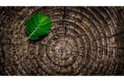 夢占い・夢診断│余命宣告の夢は何を暗示している？