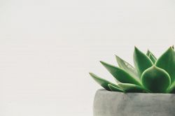 恋愛占い│【脈あり？】あなたのことがなぜか気になる…あの人に起きた心の変化
