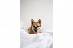 片思い占い│【女性限定】『まさか、全部バレ!?』彼は、あなたの気持ちにどのくらい気づいている？