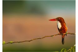 恋愛占い│【禁断の恋】このイケナイ恋は早めに諦めたほうがいい？