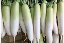 夢占い・夢診断│大根の夢は何を暗示している？