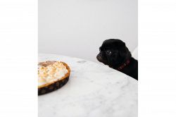 夢占い・夢診断│欲しがる夢は何を暗示している？