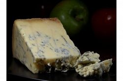 夢占い・夢診断│カビの夢は何を暗示している？