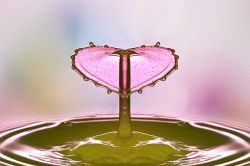 オフェリア・麗の星座+血液型占い│太陽星座が射手座～第5ハウスが牡羊座～