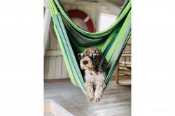 夢占い・夢診断│ハンモックの夢は何を意味している？キャンプでリラックスだけじゃない？