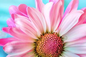 占いコラム│要チェキ！次の出会いの全貌～時期・相手・状況～【火】属性のあなた