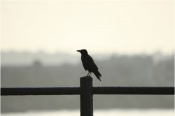 恋愛占い│今、あの人の心を苦しめているプライベートでの問題とは何？