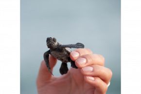 人生占い│まだ存分に発揮されていない、あなたの中に眠る才能