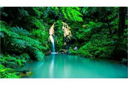 夢占い・夢診断│オアシスの夢は何を暗示している？