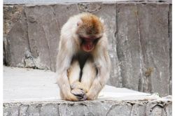 夢占い・夢診断│いじける夢は何を暗示している？