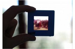 夢占い・夢診断│故人の夢は何を暗示している？