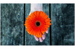 復縁占い│【女性限定】【復縁占】もうそばにいないあの人。今、心の中でどんなことを想っている？