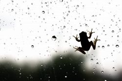 姓名判断│あの人は本当に離婚する気がある？不倫愛がたどる最終結末【本気鑑定】