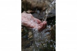 夢占い・夢診断│湧き水の夢は何を暗示している？