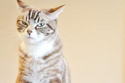 片思い占い│彼も悩んでいるようです◆あなたにだけは誤解されたくないと思っていること
